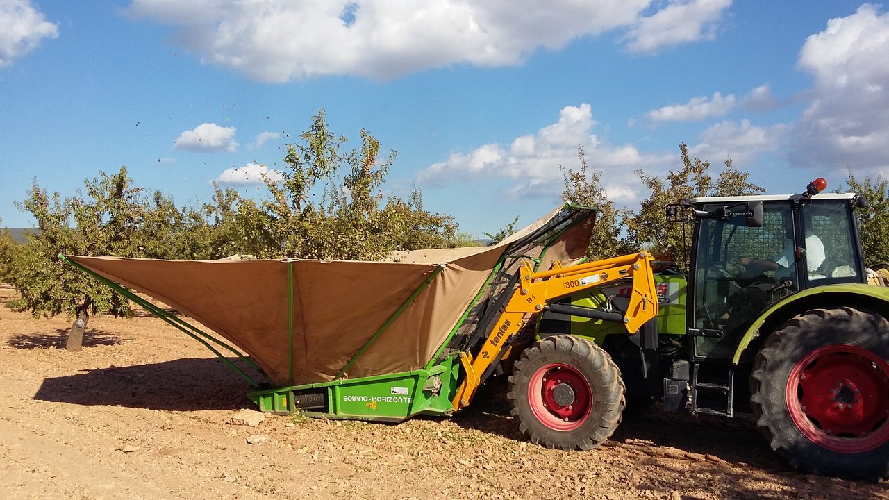 From tree to factory: almond harvesting