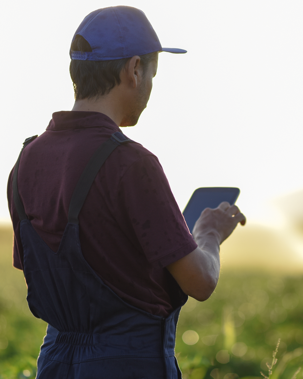 empleado con tablet en el campo