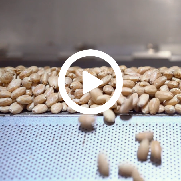 captura video almendras industria