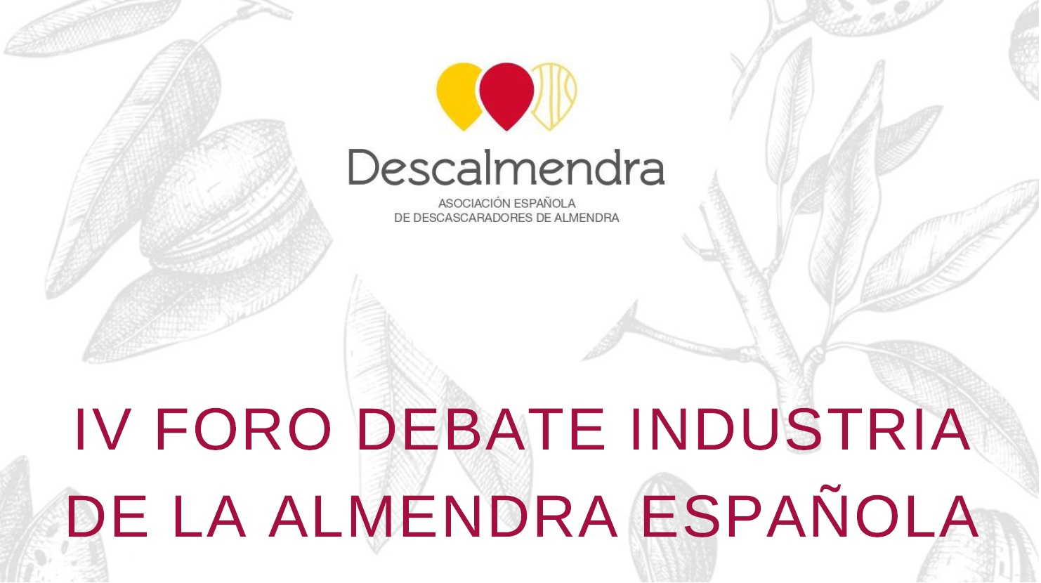 foro-debate-descalmendra