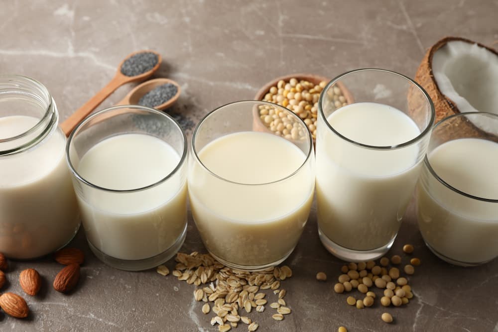 dairy-free products