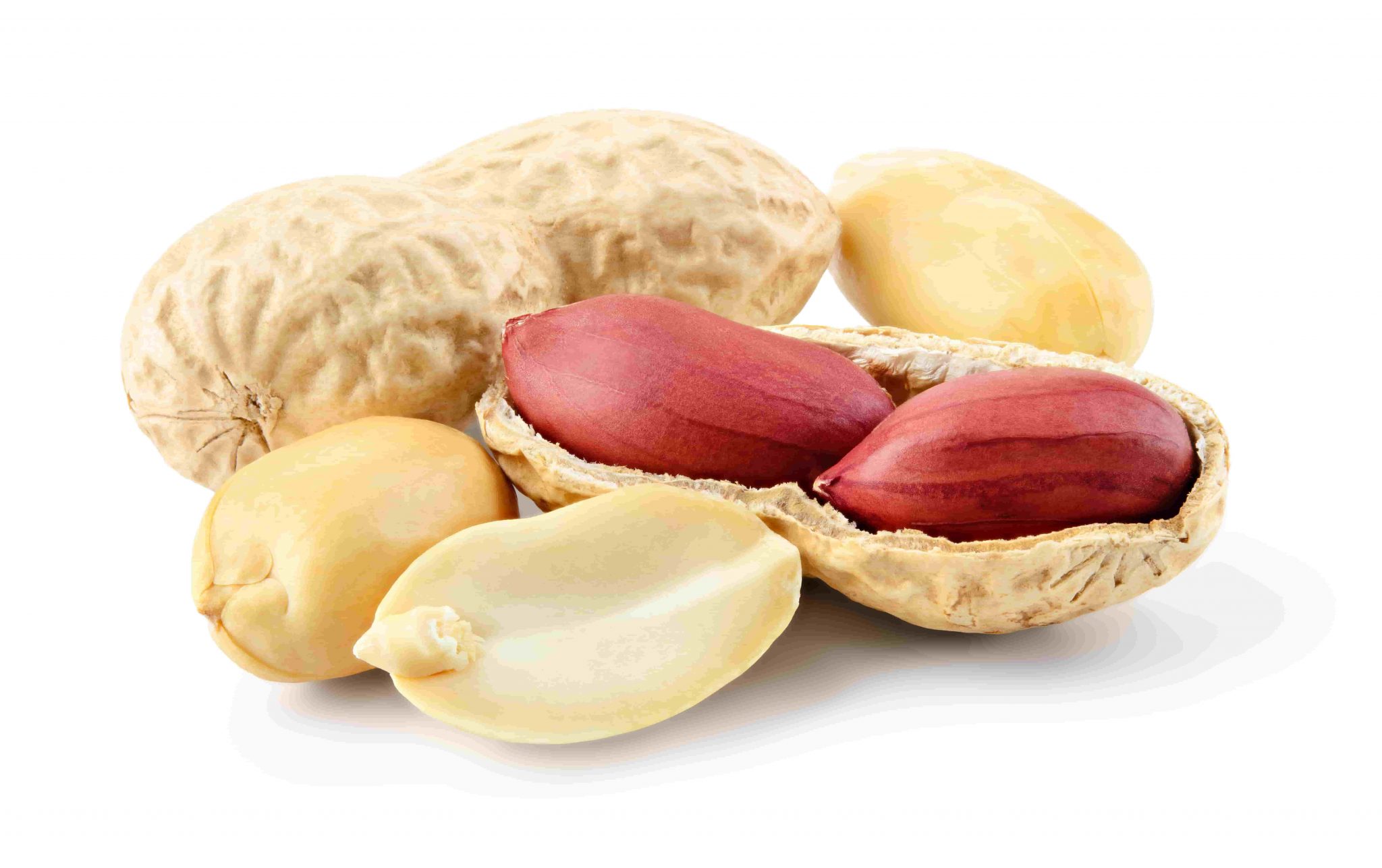 Peanut types basic guide for industrial buyers Itac Professional