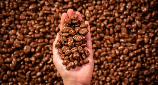 Proceso elaboración chocolate