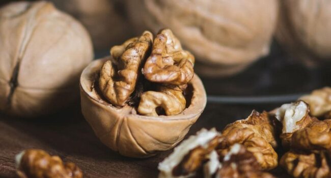 Proyecto conocimiento, usos y beneficios nueces
