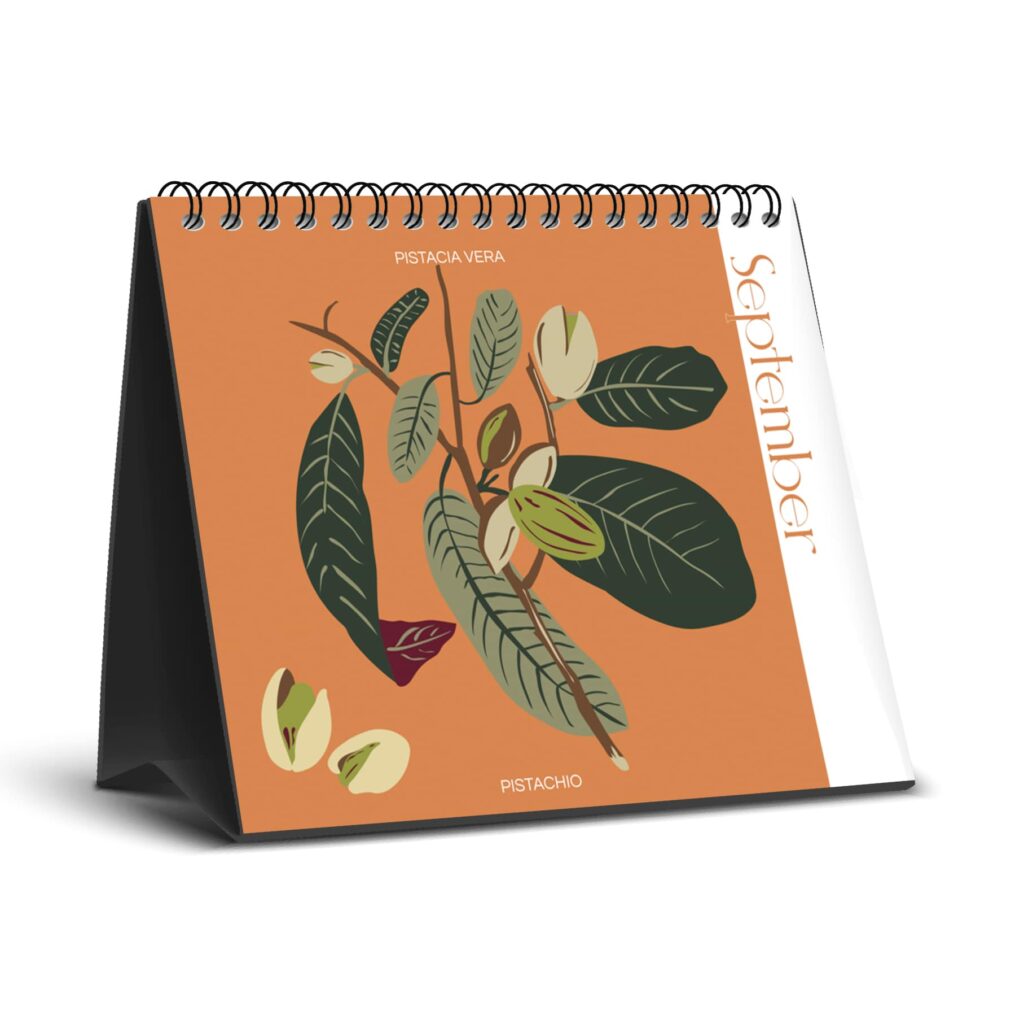 Downloads Itac Professional