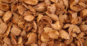 almond shells waste