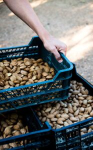 caja de almendras