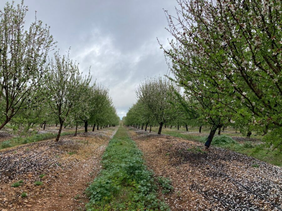 What are we (really) talking about when we talk about sustainable agriculture?
