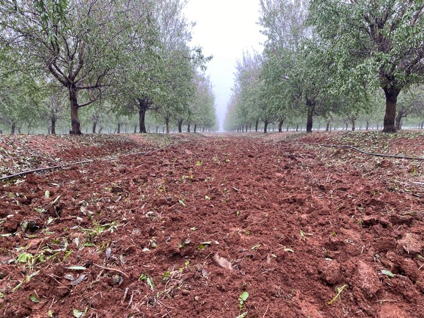 agricultura sostenible