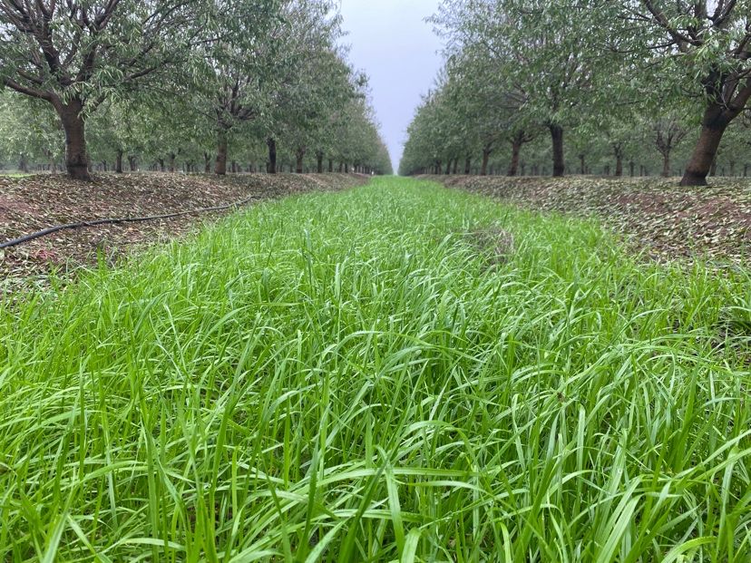 agricultura sostenible