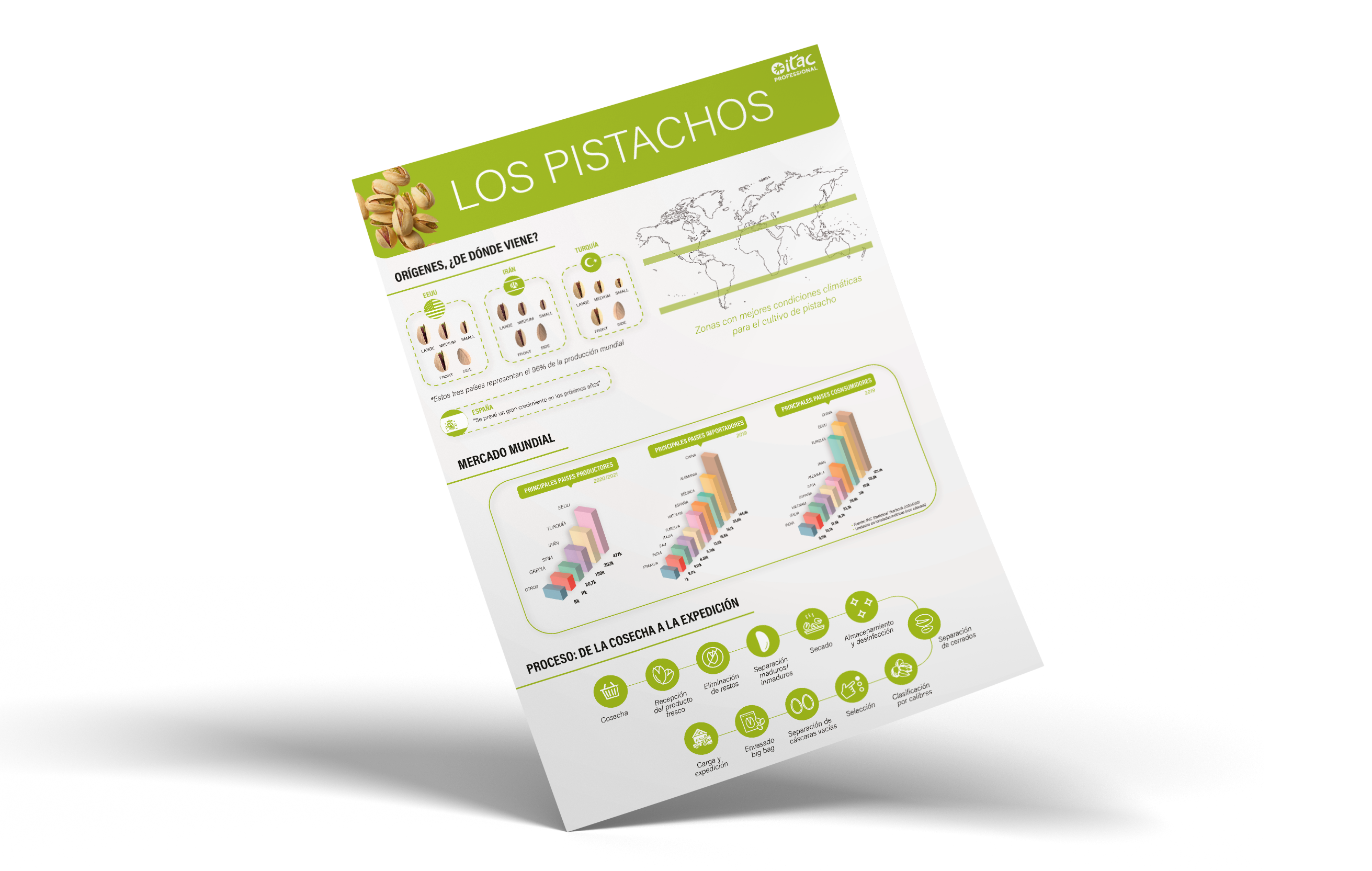 infografía pistachos