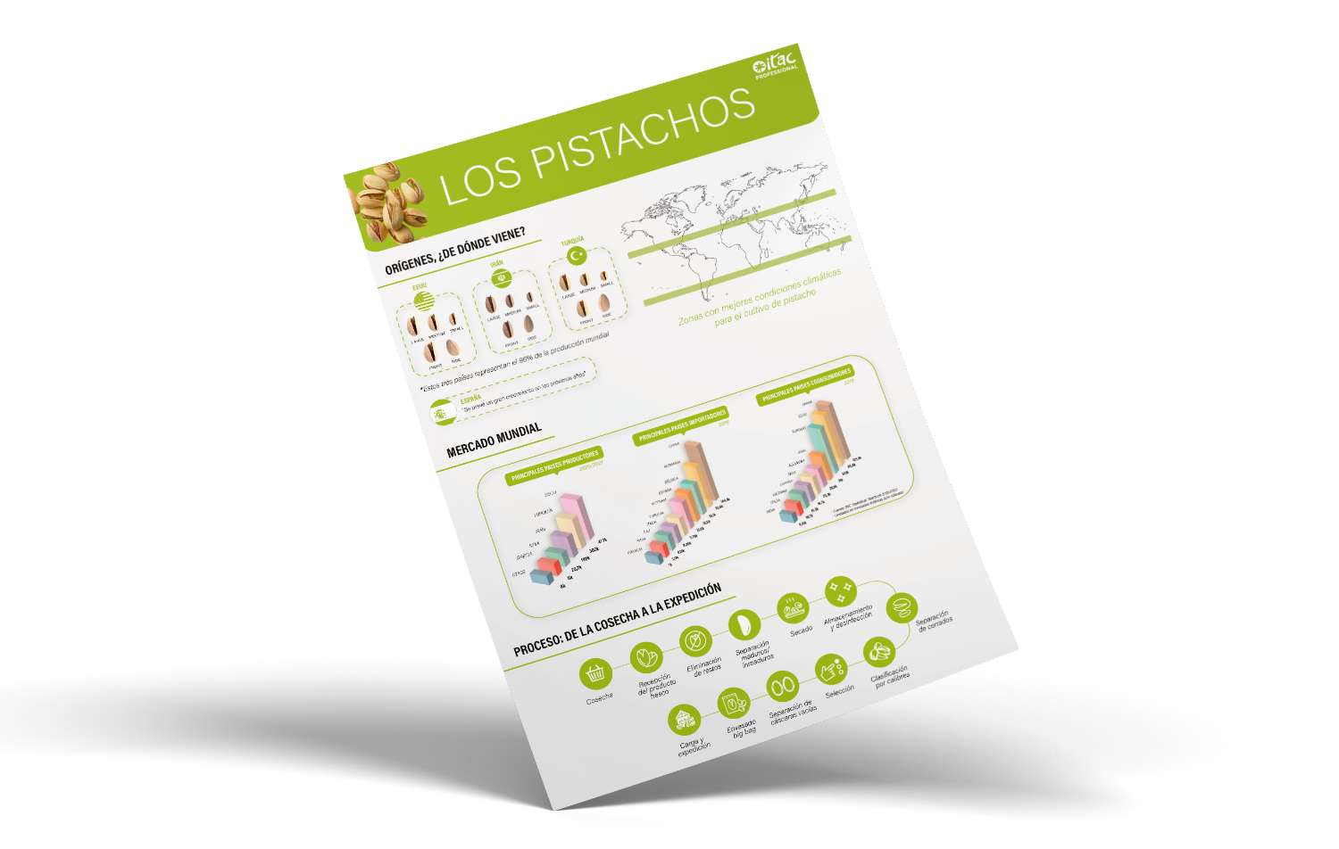 infografía pistachos