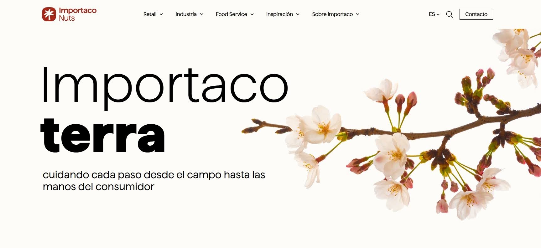 Importaco Terra en web Importaco Nuts